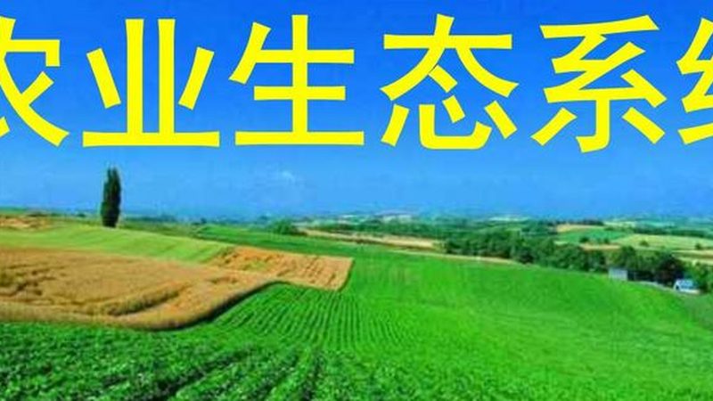 水果种植龙头企业的崛起与启示