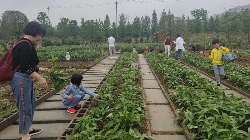 总结：甄别正规厂家，保障粮食安全
