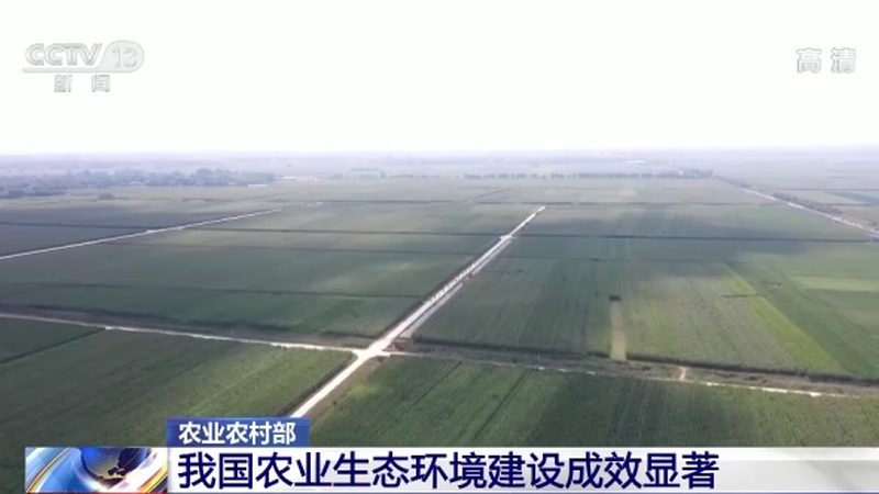 农产品代理加盟：如何挑选优质产品，规避市场风险**