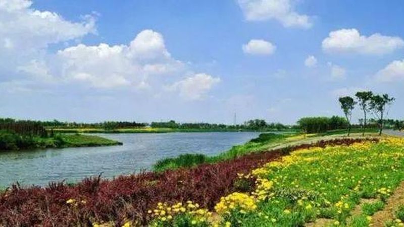 小型农业种植项目对比：如何选择最适合的方案