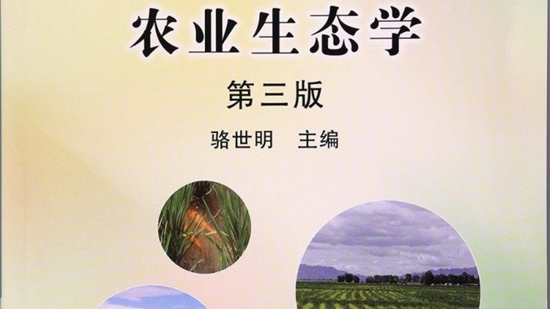 生态农业种植公司排名背后的考量因素