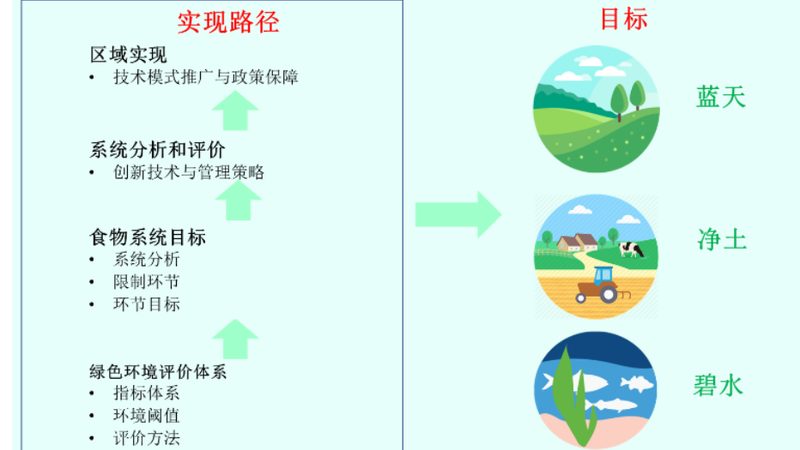 农产品分拣配送：人工与机械的较量**