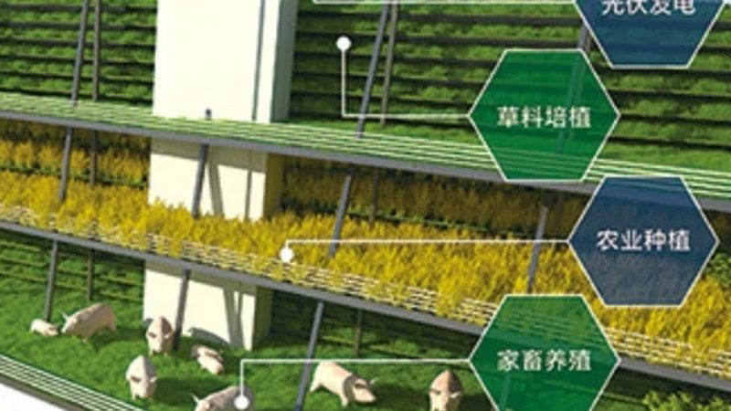生态农业设备：助力绿色种植的未来之星
