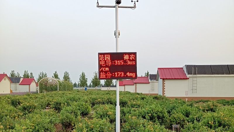 大棚蔬菜种植：技术标准如何确保高效与合规**