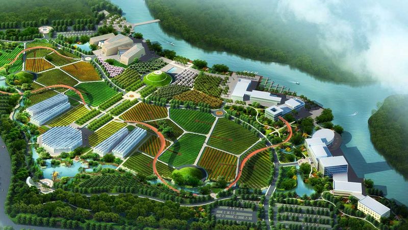 农民专业合作社理事与监事：职责分明，共筑农业合作新篇章