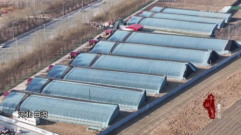 农业合作社贷款申请，这些步骤你了解吗？**