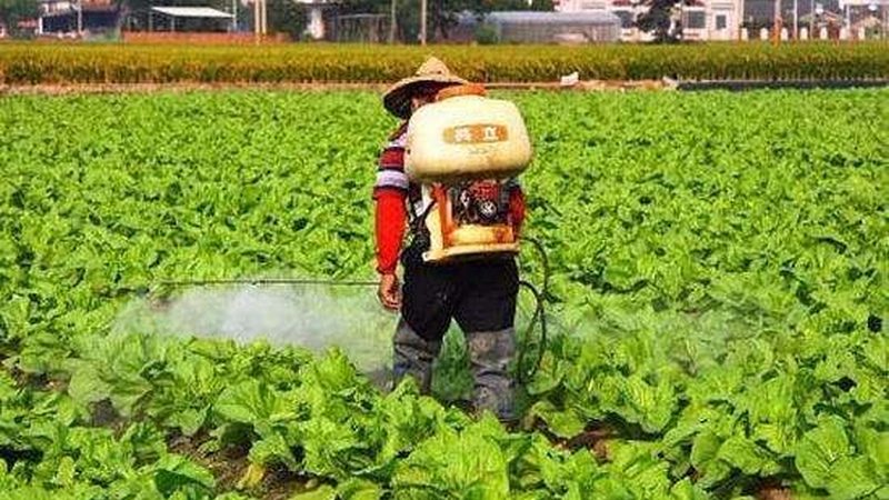 市级现代农业产业园建设，别只盯着“申报材料